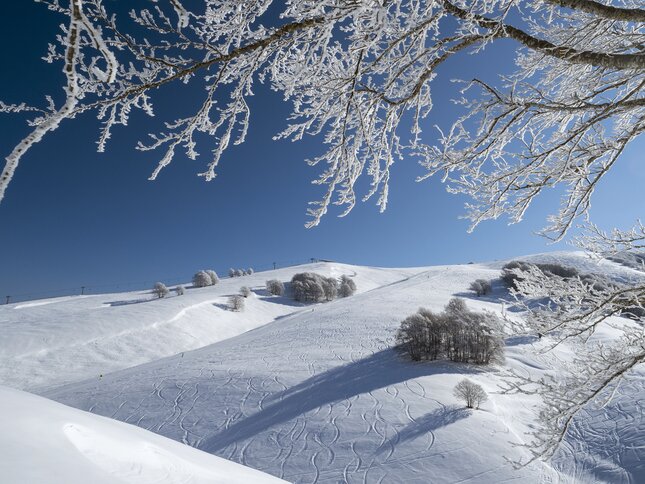 Vallagarina - Altopiano di Brentonico - Polsa di Brentonico