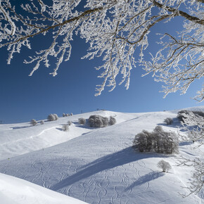 Vallagarina - Altopiano di Brentonico - Polsa di Brentonico