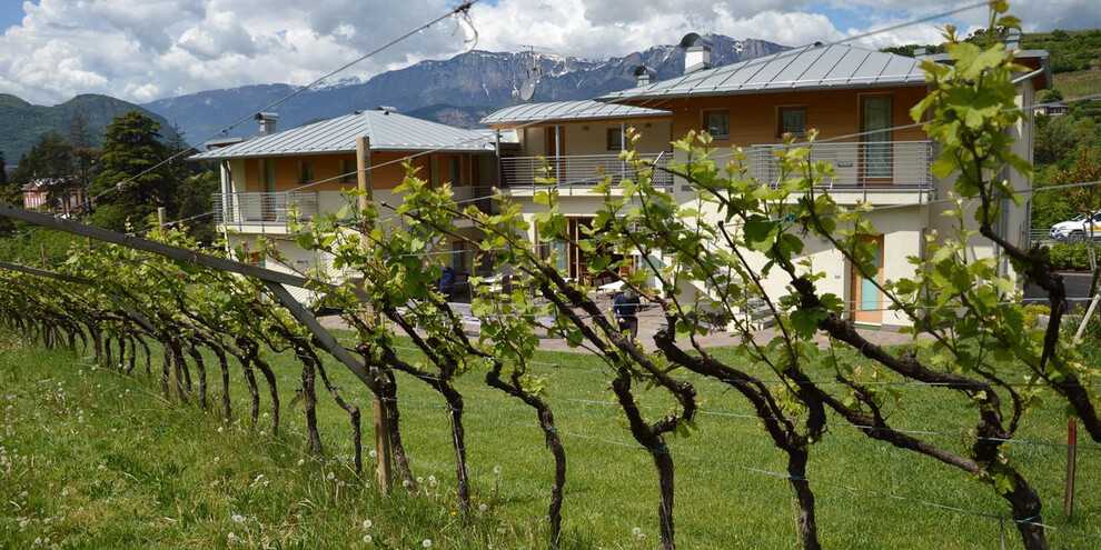 Agritur Ponte Alto - Trento (3)