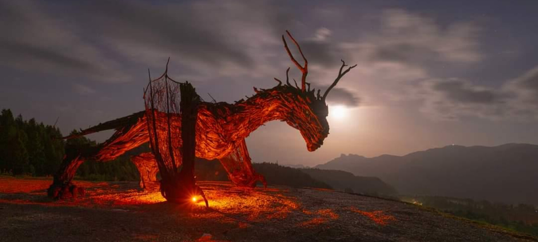 Drago Vaia Rigeneration Alpe Cimbra | ©  Francesco Dissegna