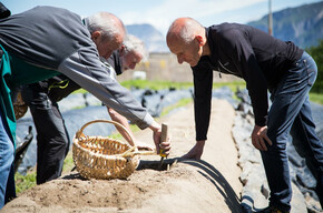 Terre d'Adige Zambana