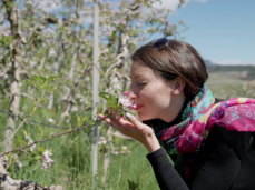 Aprile Dolce Fiorire