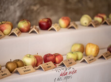 Pomaria - Erntedankfest, Begegnungsfest!