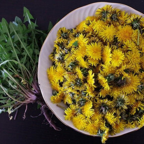 Aprile Dolce Fiorire