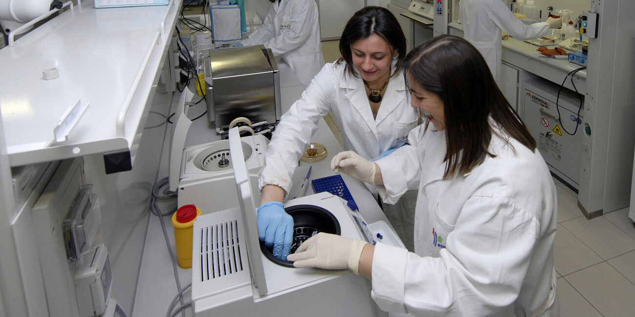 Vorreiter bei der Förderung von Entwicklung und Nachhaltigkeit EIN GEBIET MIT EINEM GRÜNEN HERZEN #6