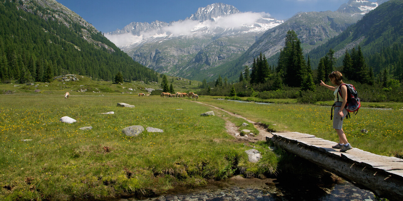 Vorreiter bei der Förderung von Entwicklung und Nachhaltigkeit EIN GEBIET MIT EINEM GRÜNEN HERZEN #3