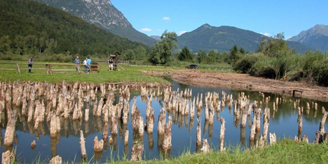 Kulturschätze Brücken zwischen Vergangenheit und Gegenwart #6