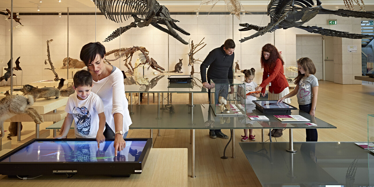 Kulturschätze Brücken zwischen Vergangenheit und Gegenwart #4