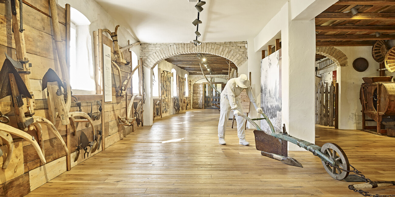 Kulturschätze Brücken zwischen Vergangenheit und Gegenwart #5