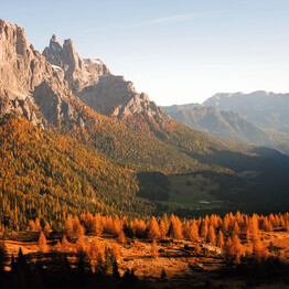 AUTUMN WELLNESS IN TRENTINO Recharge amidst nature’s colours and calm