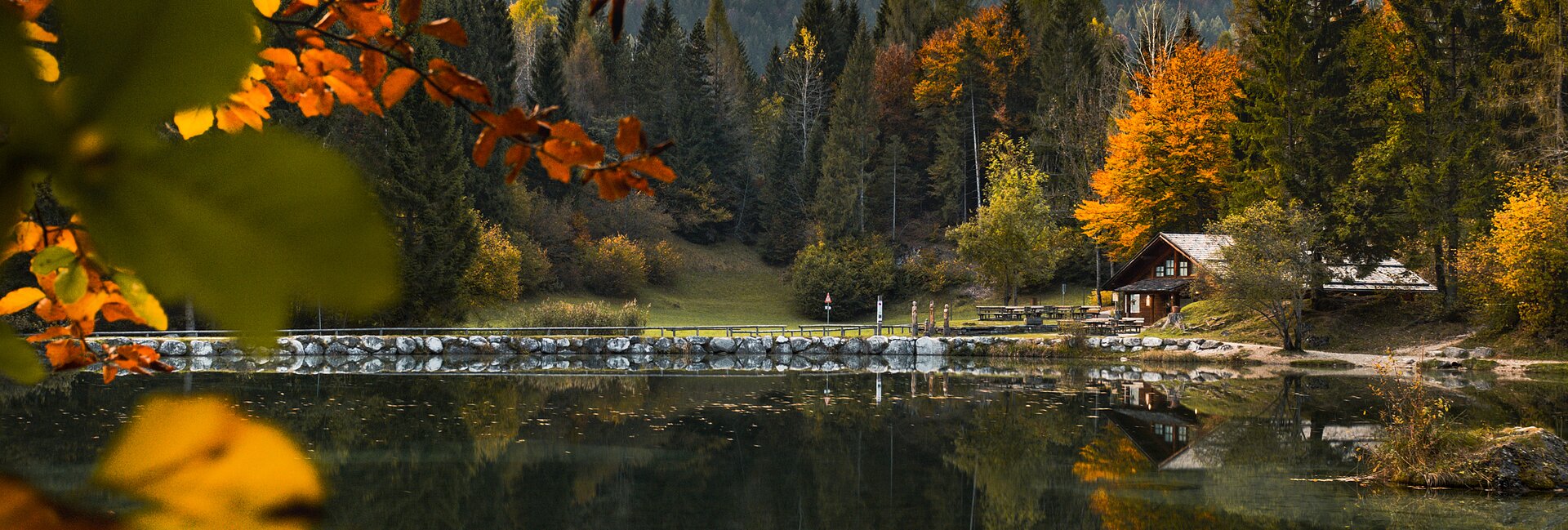 Der Naturpark Paneveggio-Pale di San Martino