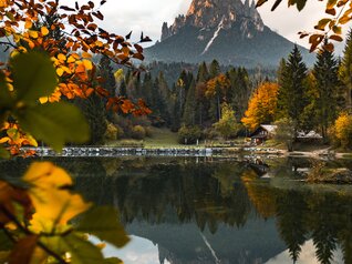 Der Naturpark Paneveggio-Pale di San Martino