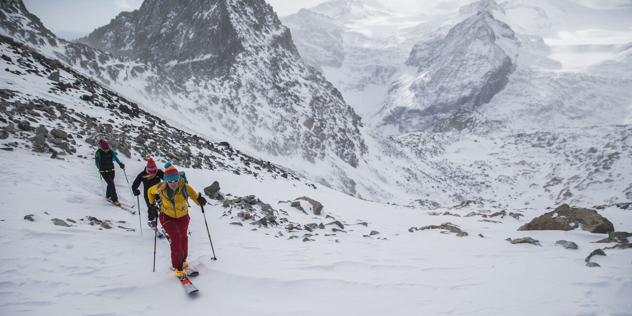 Зимняя Роскошь #2