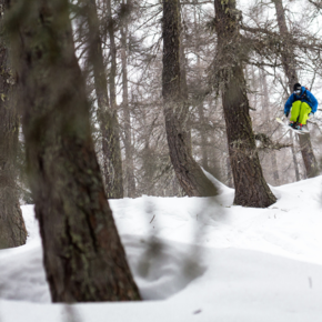 ПРИКЛЮЧЕНИЯ В СНЕГАХ, ВО ЛЬДАХ И В...