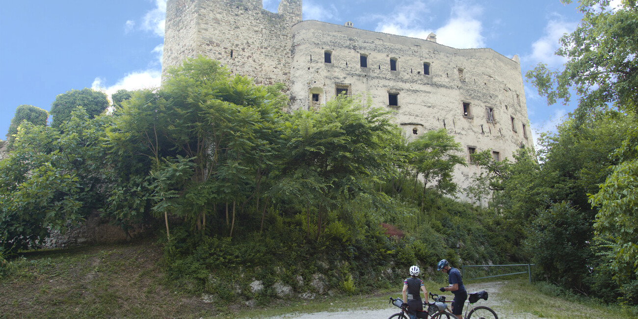 РАВНИНА РОТАЛИАНА: ПО ВИНОДЕЛЬНЯМ И ВИНОГРАДНИКАМ В СЕДЛЕ ВЕЛОСИПЕДА #1