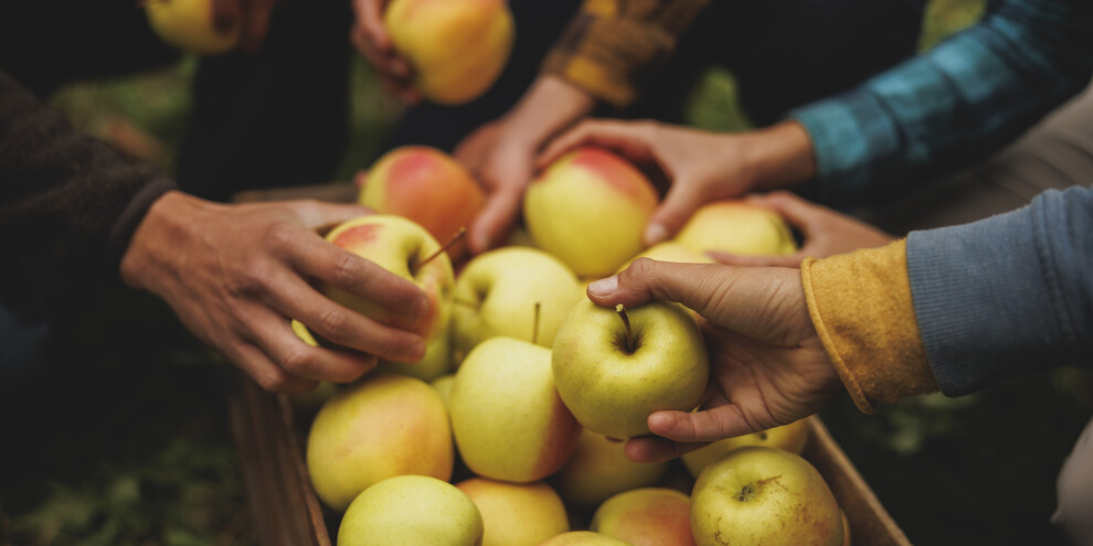 Pomaria, das große Erntedankfest