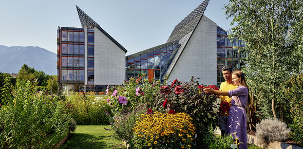 Cosa c’è di nuovo al museo? 