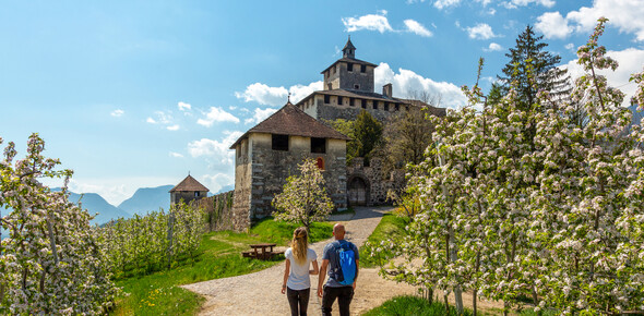 In Schlössern gibt es Leben!