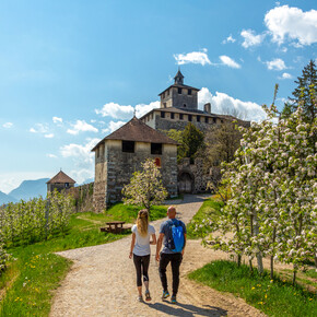 The castles are brimming with life!