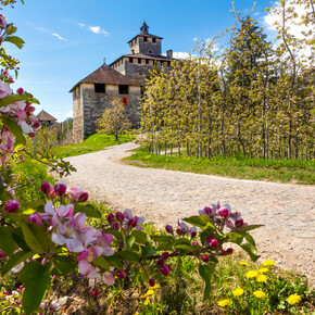 Un picnic nel giardino delle delizie