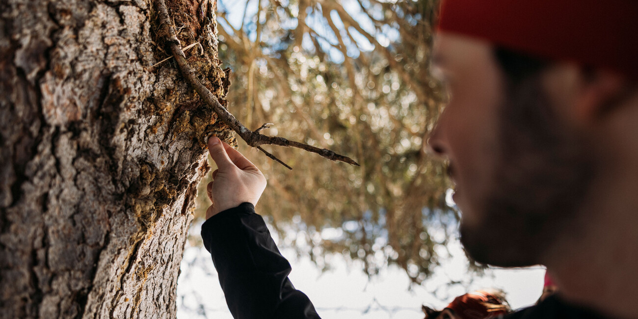 Auszeit im Trentino:  Entschleunigen und Kraft tanken in den Dolomiten #2