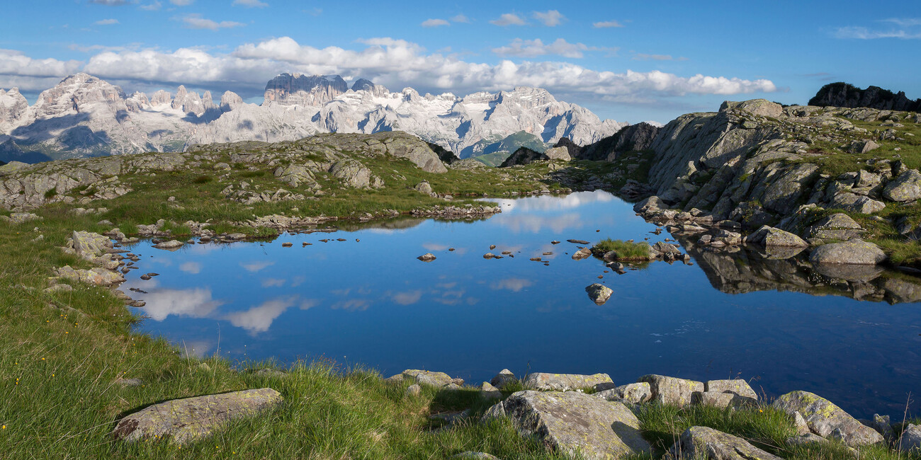 At the forefront of promoting development and sustainability A LAND WITH A GREEN HEART #1