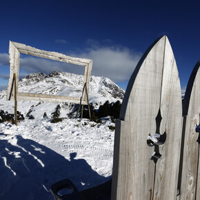 Luoghi dove passeggiare in trentino in inverno | © RespirArt Pampeago - NATURA VIVA di Mauro Olivotto ph Federico Modica