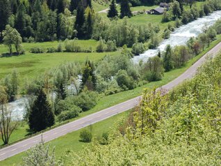 RR Val di Fiemme Destra Avisio - Torrente Avisio | © RR Val di Fiemme Destra Avisio - Torrente Avisio