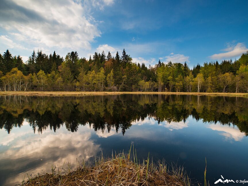 Reservatnetz Cembra - Avisio | © Foto Archivio Rete di Riserve Cembra – Avisio
