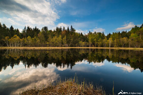 Network of Nature Reserves Cembra - Avisio | © Foto Archivio Rete di Riserve Cembra – Avisio