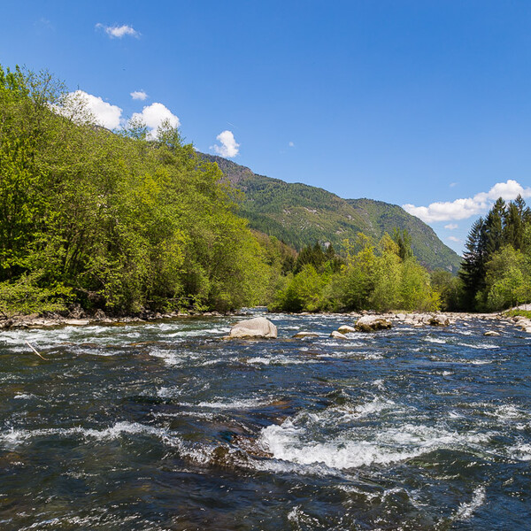 Rete di Riserve Alto Noce | © Foto Archivio Apt Val di Sole