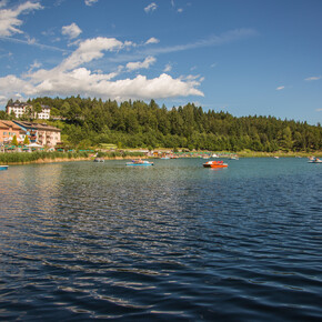 Lake Lavarone - On Freud’s footsteps