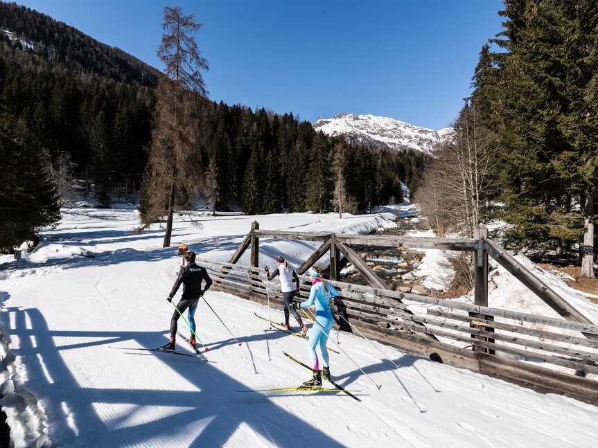 Cross-Country Skiing Rabbi