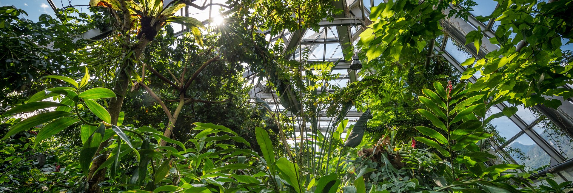 Das MUSE - Museum für Wissenschaft