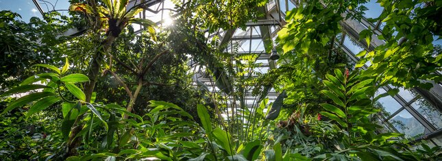 Das MUSE - Museum für Wissenschaft