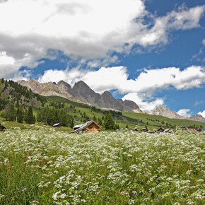 Passo San Pellegrino