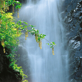 Altopiano di Piné - Cascata del Lupo | © Giovanni Cavulli