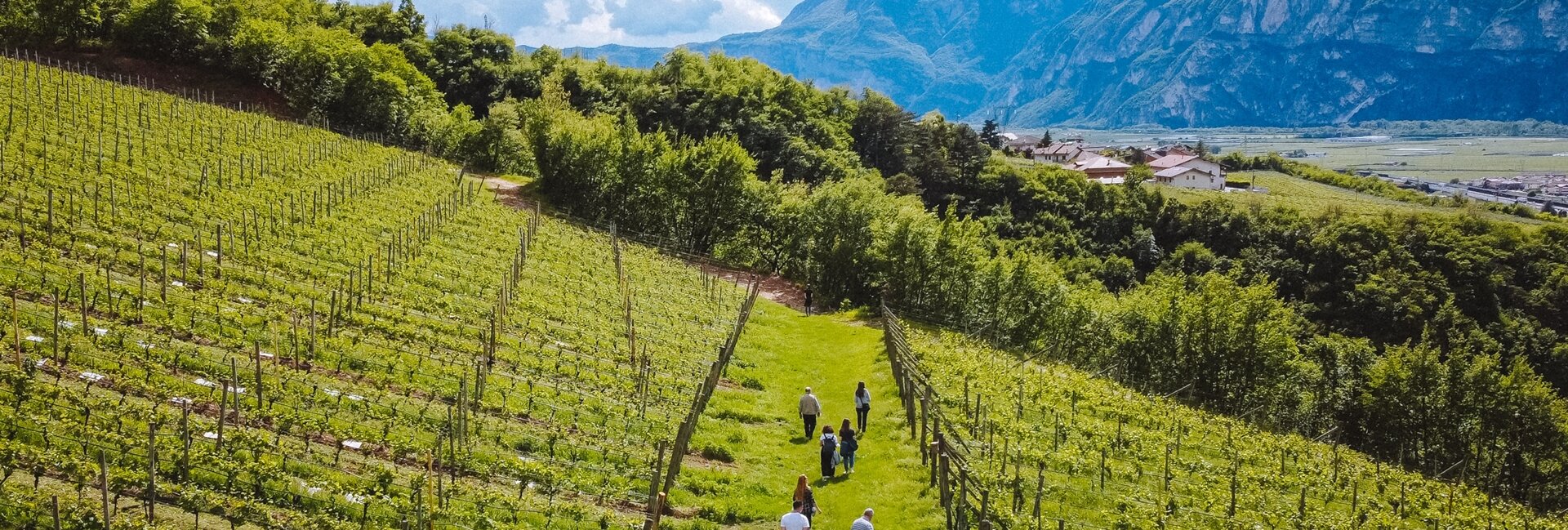 Altopiano della Paganella und Piana Rotaliana