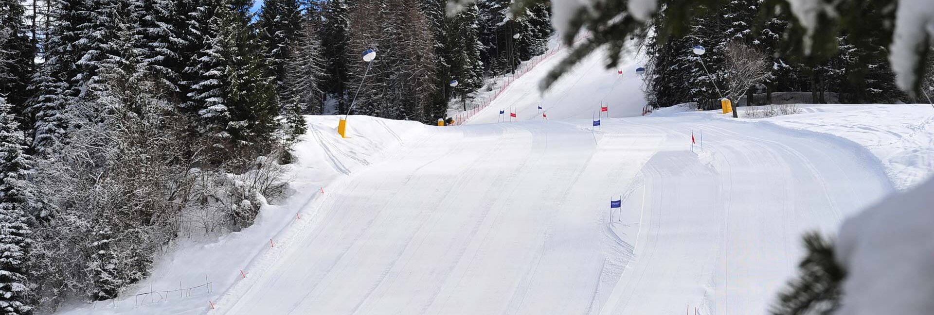 Pista sci Monte Nock - Archivio fotografico APT Val di Non | © Archivio fotografico APT Val di Non