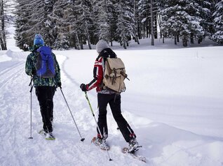 APT TRENTO - Ciaspolata - Viote del Monte Bondone | © APT TRENTO - Ciaspolata - Viote del Monte Bondone