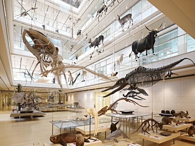 MUSE – Science Museum