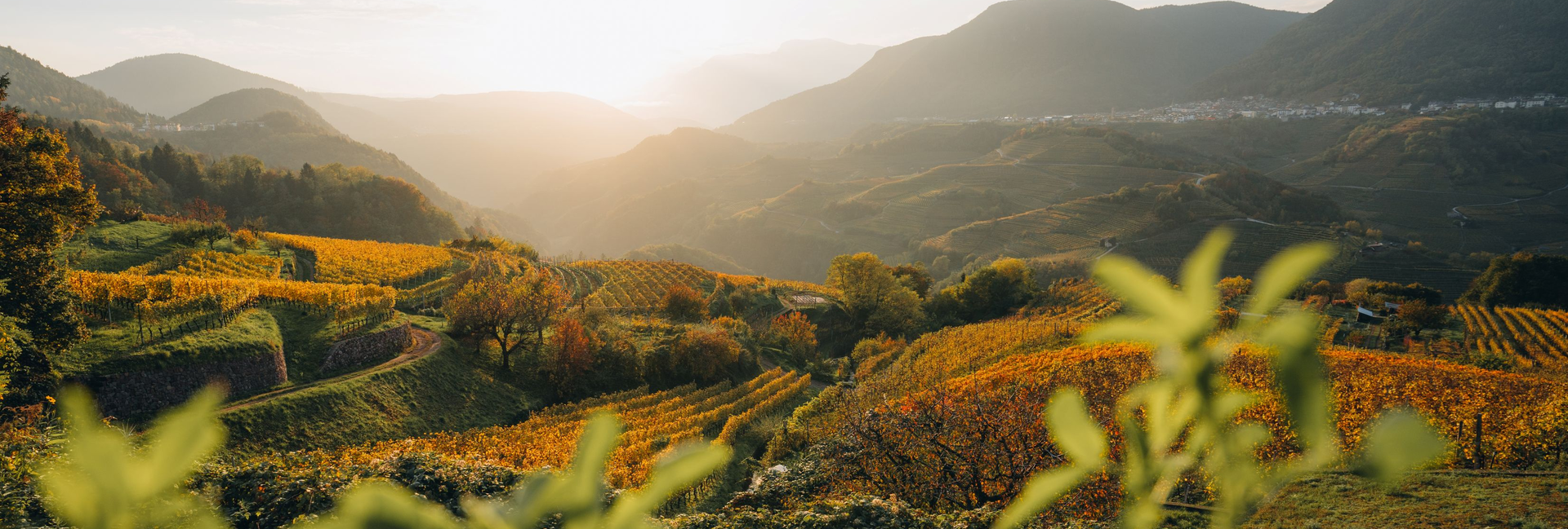 Val di Fiemme und Val di Cembra