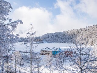 Lake Lavarone - On Freud’s footsteps