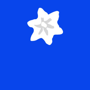 Trentino Ferienwohnungen