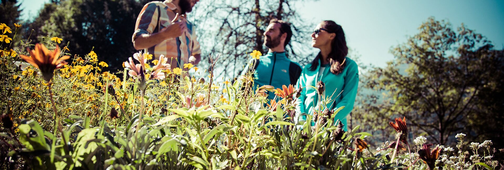 Malè - Val di Sole - Mulino Museo dell’Ape – ein Museum erklärt die unglaubliche Welt der Bienen 