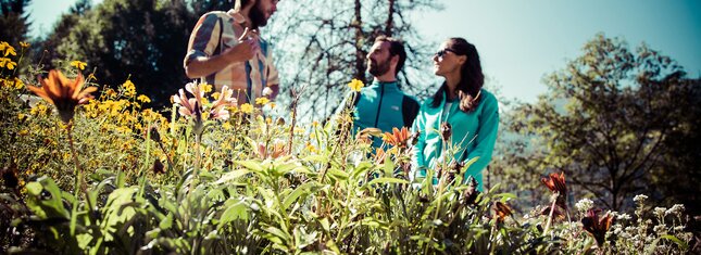 Malè - Val di Sole - Mulino Museo dell’Ape – ein Museum erklärt die unglaubliche Welt der Bienen 