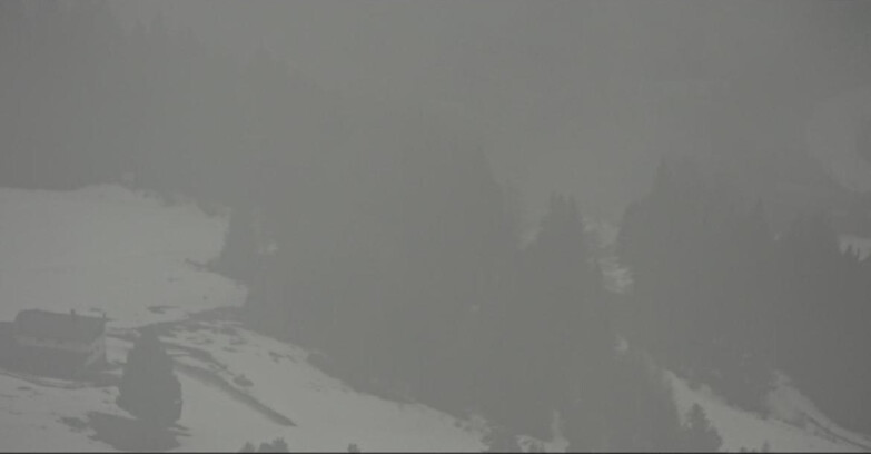 Webcam Пампеаго - Предаццо - Оберегген	 - Passo Feudo