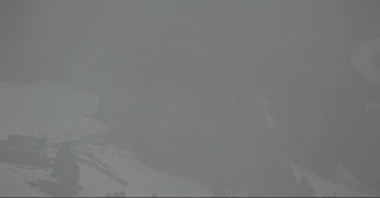 Webcam Пампеаго - Предаццо - Оберегген	 - Passo Feudo