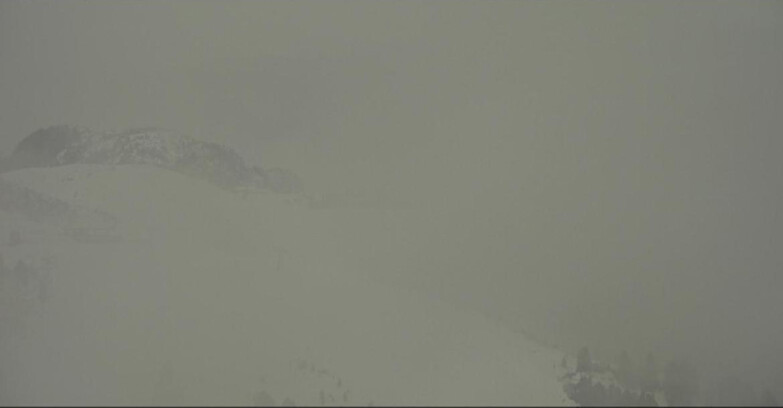 Webcam Pampeago  - Predazzo -  Obereggen - Monte Agnello Sessellifte