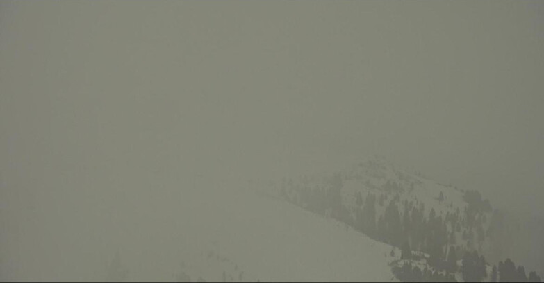 Webcam Pampeago  - Predazzo -  Obereggen - Monte Agnello Sessellifte